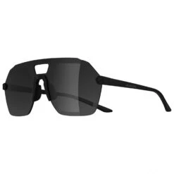 Alpina Beam I Mirror Cat. 3 - Zonnebril -Alpina Verkoop alpina beam i mirror cat 3 zonnebril detail 2