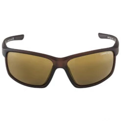 Alpina Defey Mirror Cat 3 - Fietsbril -Alpina Verkoop alpina defey mirror cat 3 fietsbril detail 2