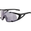 Alpina Hawkeye Q-Lite V Glasses - Black Matt/Quattroflex Lite Varioflex Purple 1 Alpina Hawkeye Q-Lite V Glasses - Black Matt/Quattroflex Lite Varioflex Purple -Alpina Verkoop alpina hawkeye q lite v glasses black matt quattroflex lite varioflex purple 3 1062345