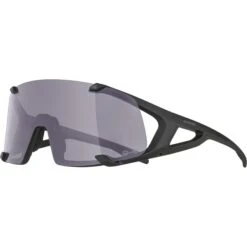 Alpina Hawkeye Q-Lite V Glasses - Black Matt/Quattroflex Lite Varioflex Purple 8 Alpina Hawkeye Q-Lite V Glasses - Black Matt/Quattroflex Lite Varioflex Purple -Alpina Verkoop alpina hawkeye q lite v glasses black matt quattroflex lite varioflex purple 4 1062346