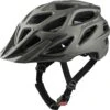 Alpina Mythos Tocsen Helm - Coffee-grey Matt -Alpina Verkoop alpina mythos tocsen helmet coffee grey matt 1 893444