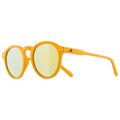 Alpina Sneek Mirror Cat. 3 - Zonnebril -Alpina Verkoop alpina sneek mirror cat 3 zonnebril 3