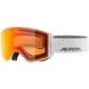 Alpina Narkoja Q-Lite Skibril 1 Alpina Narkoja Q-Lite Skibril -Alpina Verkoop iview 5052266 001 pic1